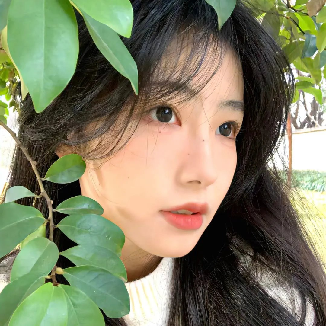 青纱红泪